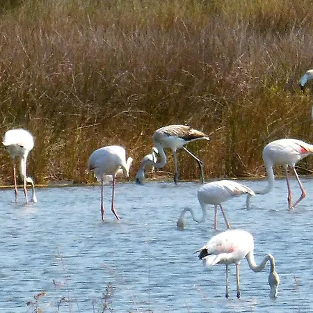 Casa Chanel Casa de hóspedes Figueira da Foz
