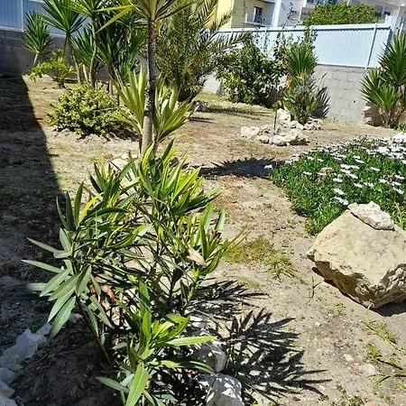 Casa de hóspedes Casa Chanel