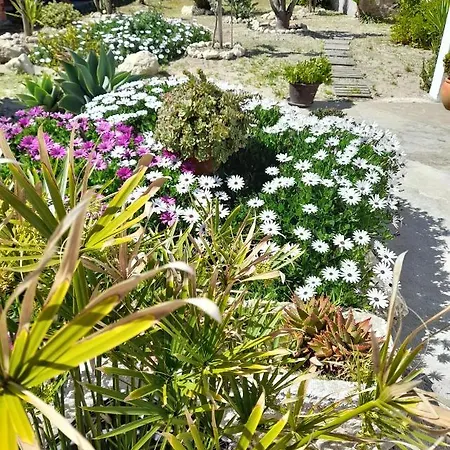 בית הארחה Casa Chanel