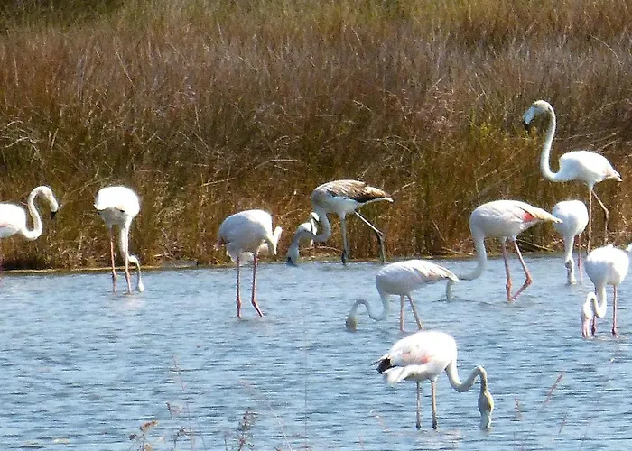 Casa Chanel Guest house Figueira da Foz