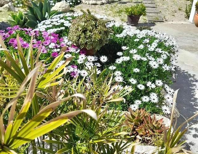 Guest house Casa Chanel