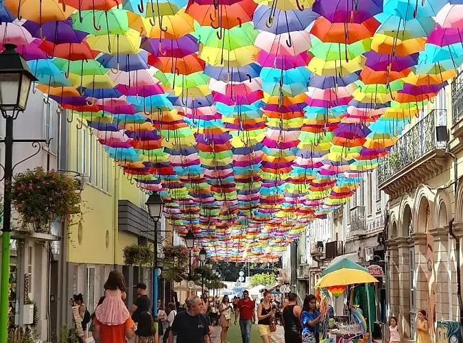 Guest house Casa Chanel *